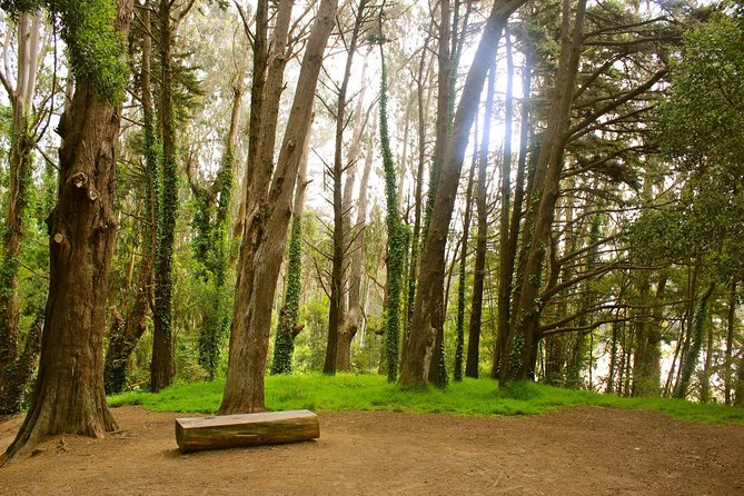 The Presidio: Main Post to the Golden Gate Bridge - Bay Area Ridge Trail section: a pleasant stretch with Spire in view