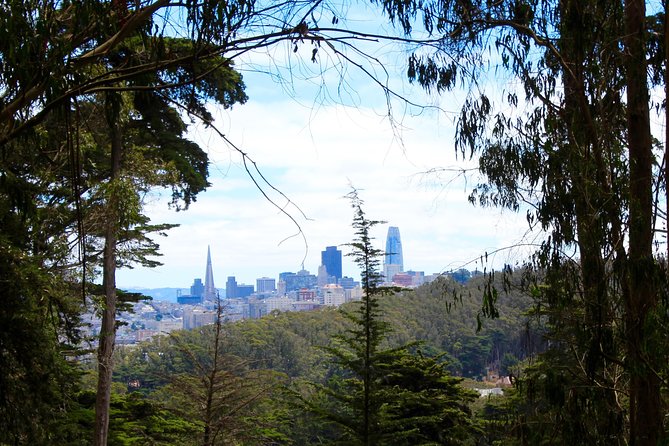The Presidio: Main Post to the Golden Gate Bridge - Ecology Trail: cypress, eucalyptus, and a redwood grove break
