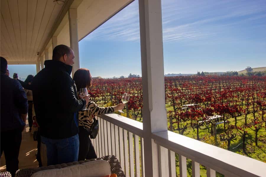 The Ultimate Napa & Sonoma Wine Tour - Napa tasting hour: learning the winemaking process