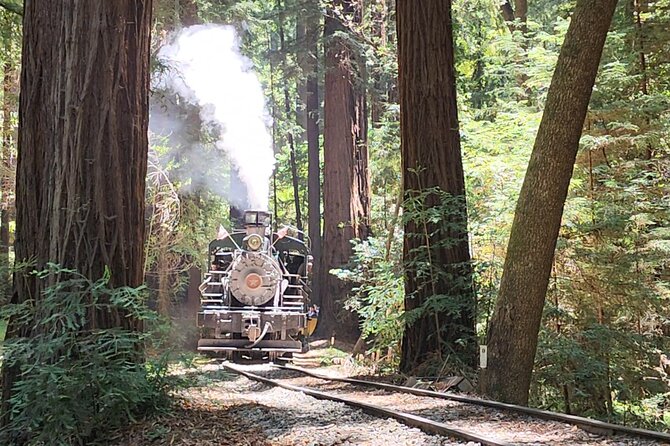 Train Ride Adventure through Mother Natures Giant Redwoods Park - San Francisco to Highway 1: why the early start matters