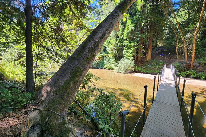 Train Ride Adventure through Mother Natures Giant Redwoods Park - Henry Cowell State Park and the Giant: what 2,000-year trees do to your brain