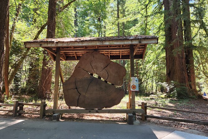 Train Ride Adventure through Mother Natures Giant Redwoods Park - Roaring Camp Railroads: the steam train ride that sells the whole day