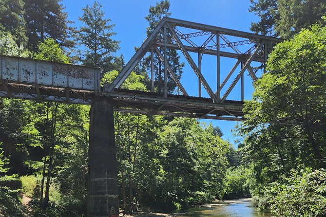 Train Ride Adventure through Mother Natures Giant Redwoods Park - Photo beach stop: when you get that extra view without extra planning