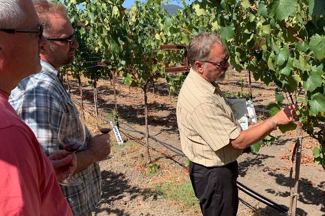 Wine Tour Pros - Napa Wine Tour: SUV Up To 6 Guests - What a Napa Day Like This Feels Like in Real Life