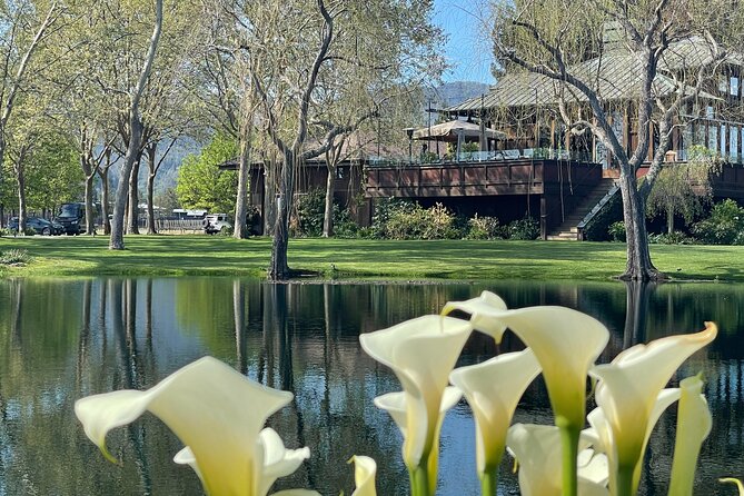 Wine Tour Pros - Sprinter Van Wine Tour: Up To 14 Guests - Best Fit: Who This Napa and Sonoma Tour Works For