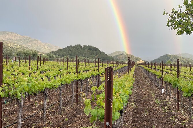 Wine Tour Pros - Sprinter Van Wine Tour: Up To 14 Guests - Price and Value: What $1,300 Gets You for Up to 14