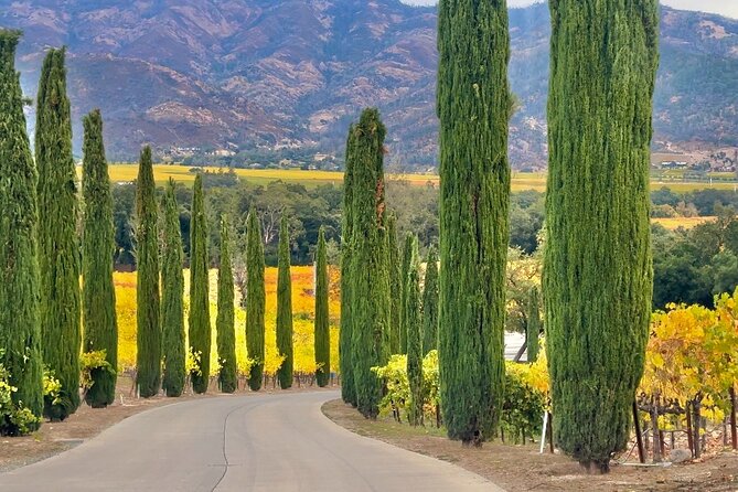 Wine Tour Transportation Services in Napa Valley - Private SUV for up to 6: comfort you’ll feel all day