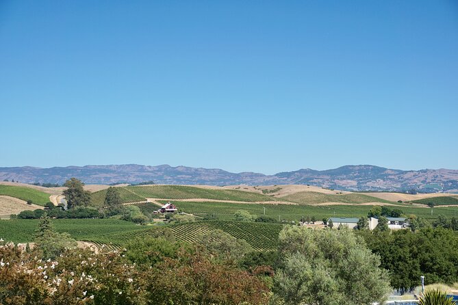 Wine Tour Transportation Services in Napa Valley - What a 6-hour wine day looks like (without guessing the exact stops)