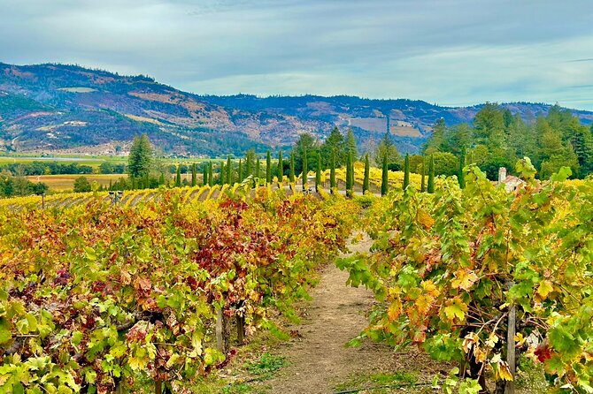 Wine Tour Transportation Services in Napa Valley - Where pickup works (and when travel fees may appear)