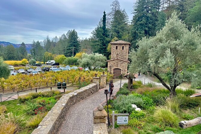 Wine Tour Transportation Services in Napa Valley - A 5:00 am pickup makes sense in wine country
