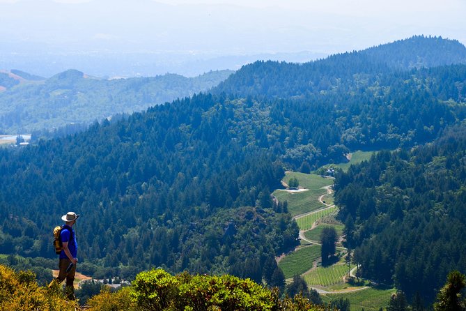 Wine & Wellness Tour in Napa Valley - A half-day hike plus Napa tastings, without the chaos