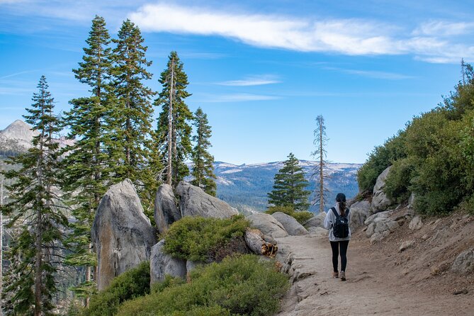 Yosemite 3-Day Lodging Adventure from San Francisco - Entering Yosemite National Park: What the Guide Buys You