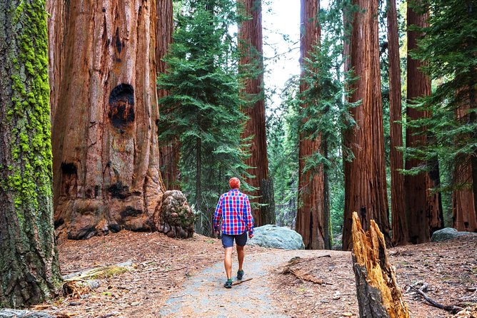 Yosemite and Tahoe from San Francisco: 4 Day Sierra Nevada Tour - The return drive: Sacramento, Pony Express, and getting back in time