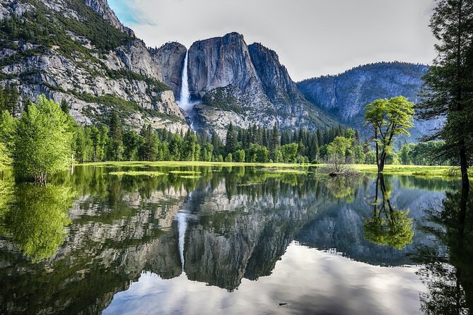 Yosemite Day Tour from San Francisco - Three hours of freedom in Yosemite Valley: hike, bike, visitor center, or galleries