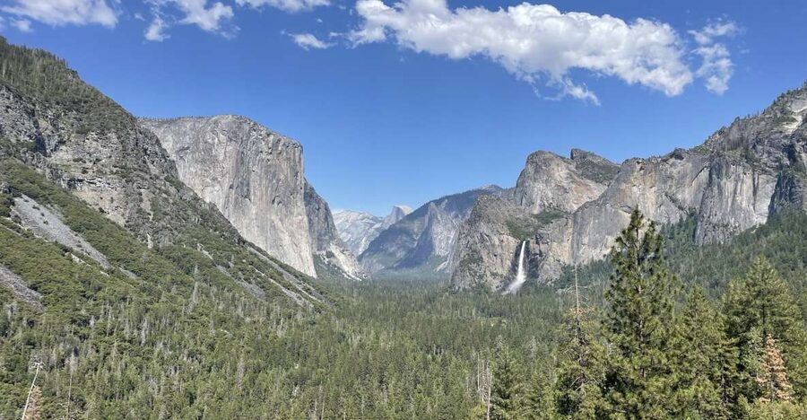 Yosemite, Giant Sequoias, Private Tour from San Francisco - Key things I’d zero in on