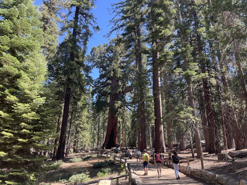 Yosemite, Giant Sequoias, Private Tour from San Francisco - A private Yosemite day that actually feels manageable from San Francisco