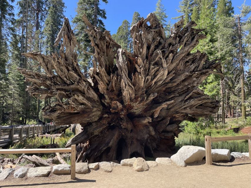 Yosemite, Giant Sequoias, Private Tour from San Francisco - Yosemite Valley viewpoints: The Ahwahnee, Yosemite Falls, and El Capitan angles