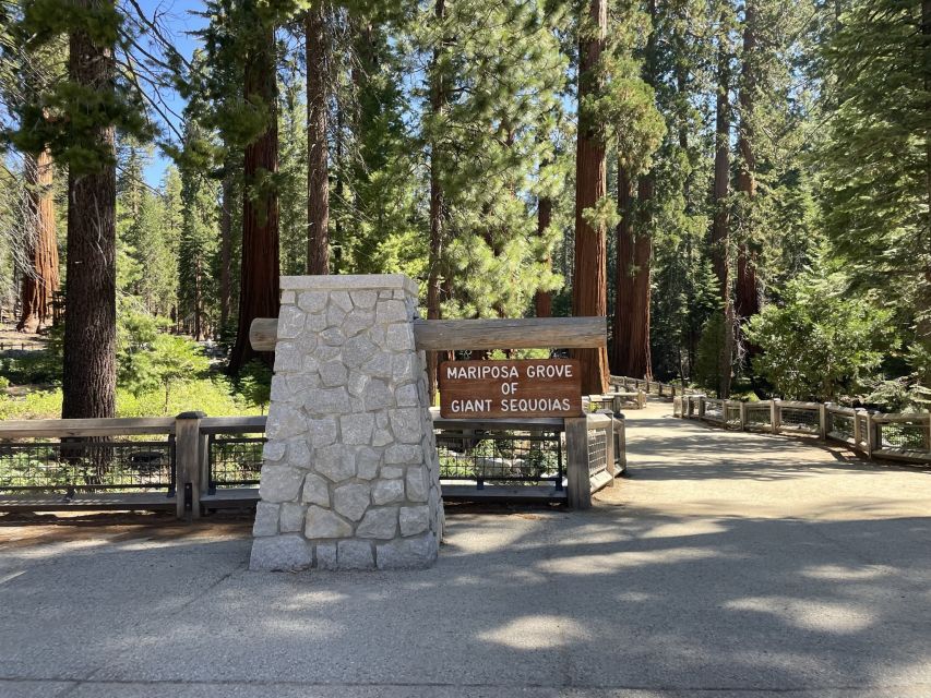Yosemite, Giant Sequoias, Private Tour from San Francisco - Hotel pickup and the rhythm of a guided day