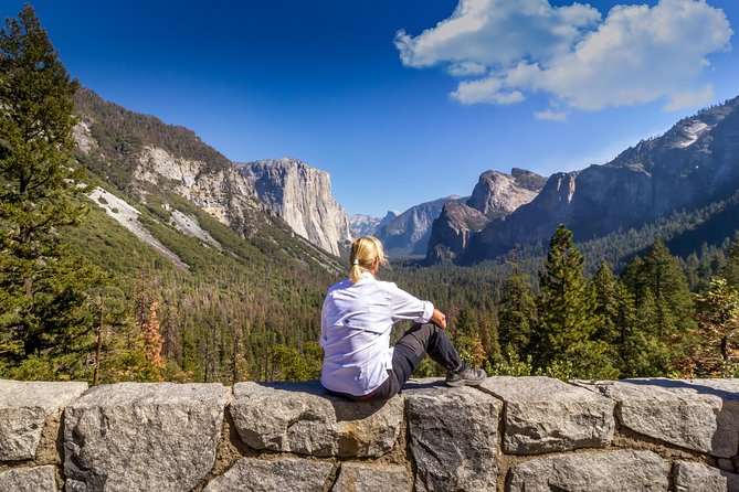 Yosemite Highlights & Giant Sequoias Day Tour from San Francisco - Price and value: what $219 buys you (and when it feels like a bargain)
