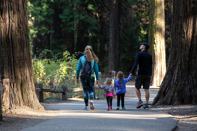 Yosemite Highlights & Giant Sequoias Day Tour from San Francisco - Yosemite Valley gives you the freedom: 2 hours to lunch, walk, and choose your pace