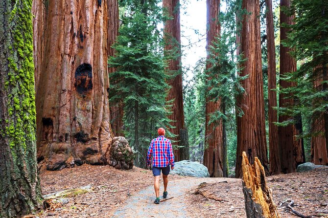 Yosemite National Park 2-Day Tour from San Francisco with Lodging - Day 2 Yosemite Valley: guided setup, then your hike plan