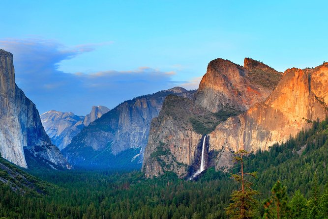 Yosemite National Park: Full Day Tour from San Francisco - Bus Comfort and Driver-Guide Reality Check: The Good, the Bad, and the Weird