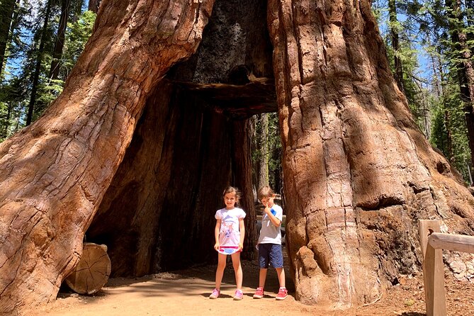 Yosemite Private Tour from San Francisco - Why a San Francisco to Yosemite private day works