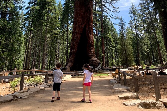Yosemite Private Tour from San Francisco - The 6:00 am schedule and how the day is paced