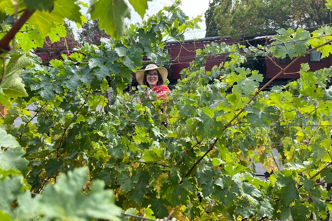 Yountville Food and Wine Tour in Napa - Thomas Keller touches: Finesse, La Calenda, and the French Laundry area