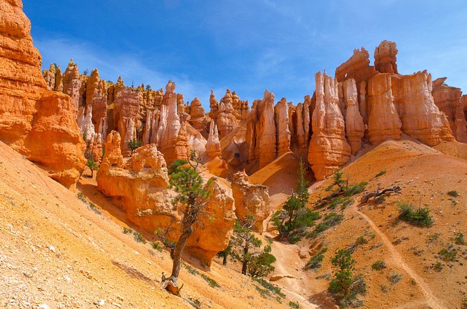 Zion, Bryce, Antelope, Grand Canyon, Las Vegas 6-Day Tour from SF - Day 4: Monument Valley, Horseshoe Bend, and Antelope Canyon near Page